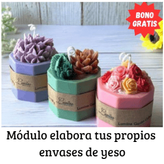bono1 nuevo (1)